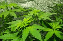 IMGP1402