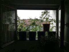 IMG 0107