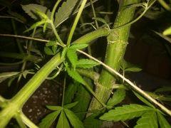 20150801 005630