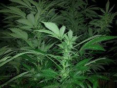 20151004 000805