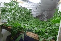 3 De droite