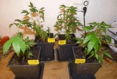 3 selection abreuve 2