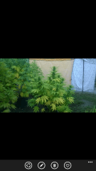 Wp Ss 20150830 0007