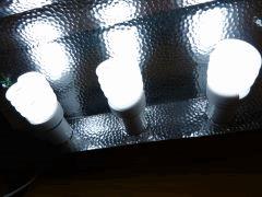 P1150111aaa