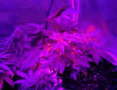 IMG 20150823 011251