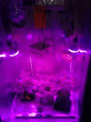 IMG 20150826 223717
