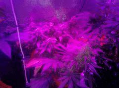 IMG 20150826 230601