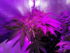 IMG 20150823 011357