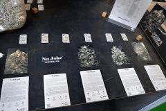 NoJoke Seeds