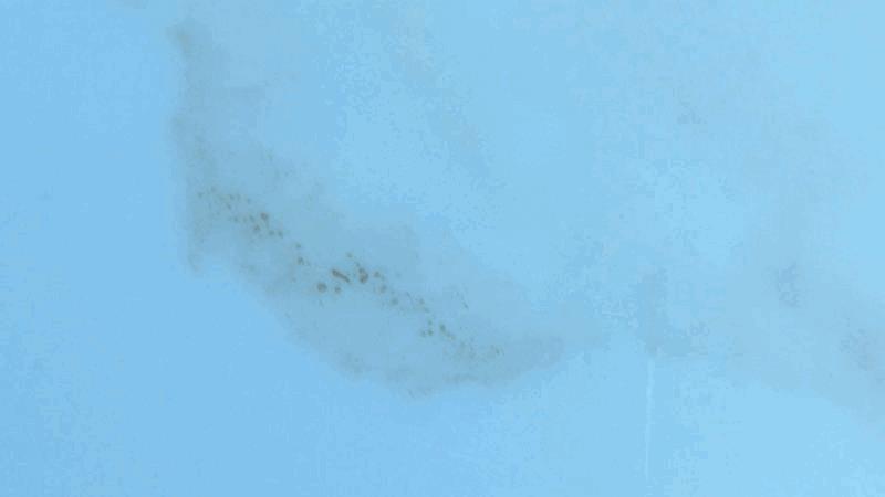 med_gallery_839640_4628_141975.jpg