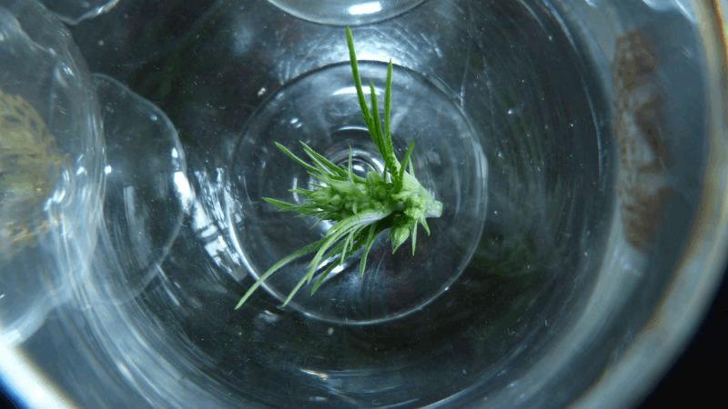med_gallery_839640_4628_239136.jpg