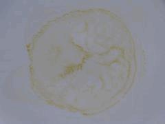 P1100644aaa