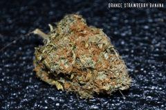 Orange Strawberry & Banana