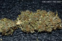 Lung Candy x Pure Gooey