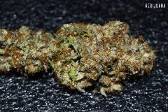Herijuana