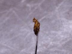 P1140015aaa