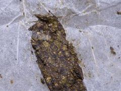 P1140022aaa