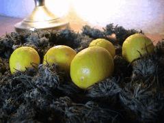 Les jolis citrons
