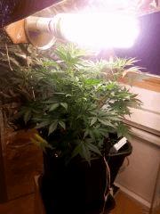 IMG 20151024 190513