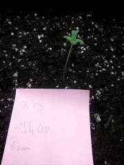 IMG 20150918 153927