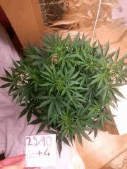 IMG 20151025 194059