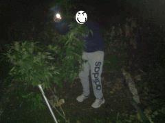 pure Ak Et unknow