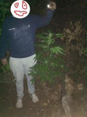 unknow2 spot1