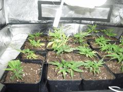 CIMG4833