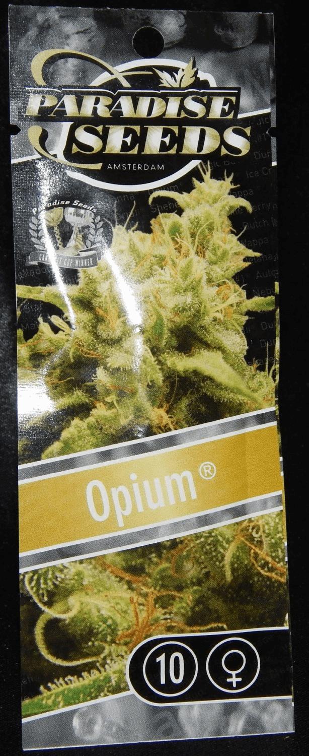 Jdc1 Opium
