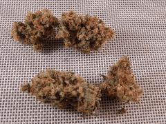 Opium Paradise Seeds Report (26)