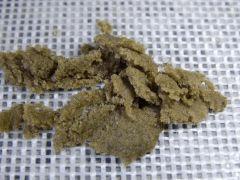 Paradise Seeds Opium Ice O (2)