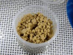 Paradise Seeds Opium Ice O (8)