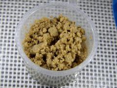 Paradise Seeds Opium Ice O (7)