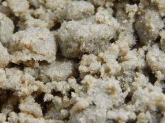 Paradise Seeds Opium Ice O (19)