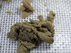 Paradise Seeds Opium Ice O (3)