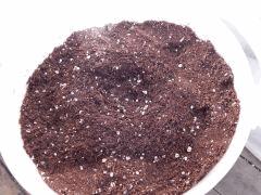 le melange perlite coco amendement qui fouette le nez