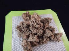 Opium Paradise Seeds Report (10)