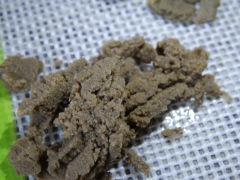Paradise Seeds Opium Ice O (4)