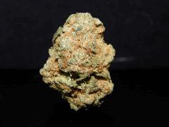 Mango Kush 1ehulp (2)