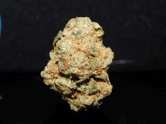Mango Kush 1ehulp (1)