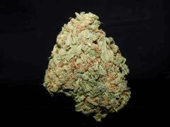 Strawberry Fire Alien 1ehulp (2)
