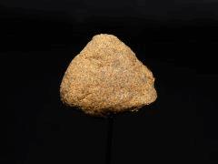 Amnésia Polm 1ehulp (2)