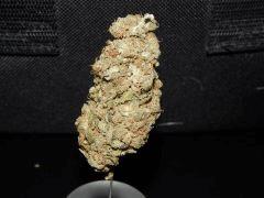 Og Kush 1ehulp (2)