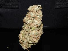 Og Kush 1ehulp (1)