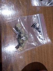 headband
