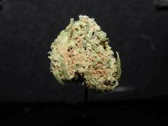 East Cost Sour Diesel 1ehulp (2)