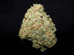 Strawberry Fire Alien 1ehulp (1)