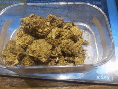 Tangie Dream balloon