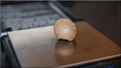 Résultat 2ème pesé 3.2 Gr après petit présage