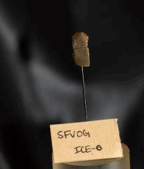 sml_gallery_692363_4737_160482.jpg